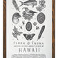 Hawaii Field Guide Letterpress Print