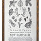 New Hampshire Field Guide Letterpress Print