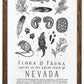 Nevada Field Guide Letterpress Print