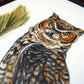 Great Horned Owl 11x14 Print