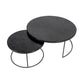 Nesting Coffee Table (Set of 2)