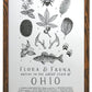 Ohio Field Guide Letterpress Print