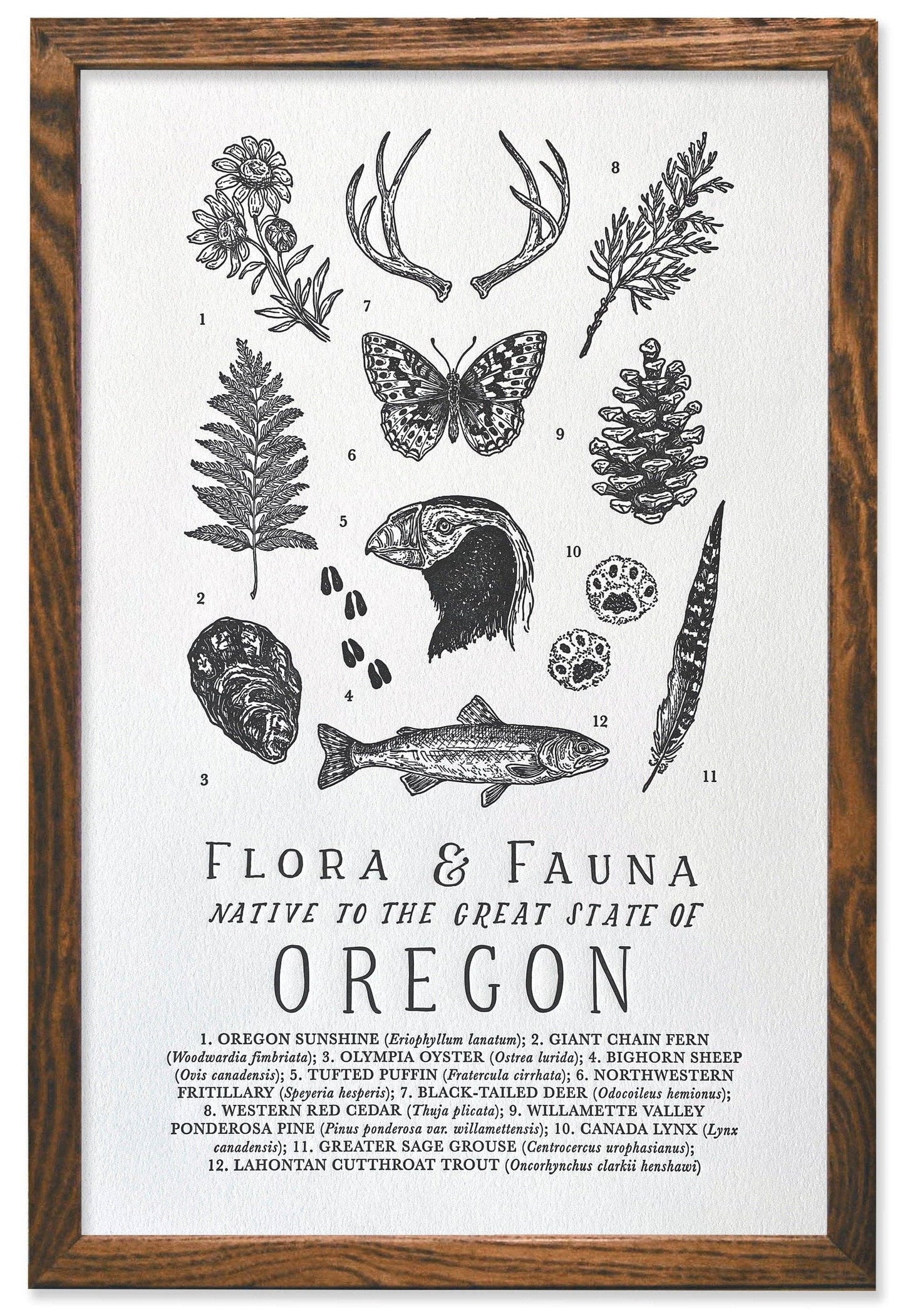 Oregon Field Guide Letterpress Print