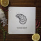 Atlantic Oyster Letterpress Print