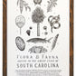 South Carolina Field Guide Print